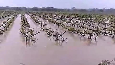 Nipani Chikodi Hukkeri Athani Raibag heavy rain in belgaum