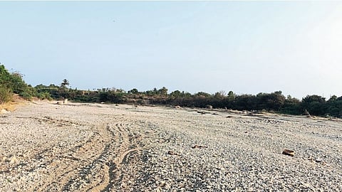 Yerla River dry; Nimbalak, Morale dams also dried up: Farmers worried