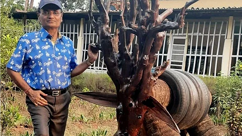 felled tree is preserved in the form of wood carvings