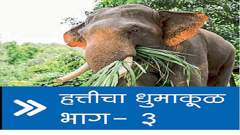 Dashrath Amrute of Haloli said that most of the farmers did not try to get the loss due to paperwork problems