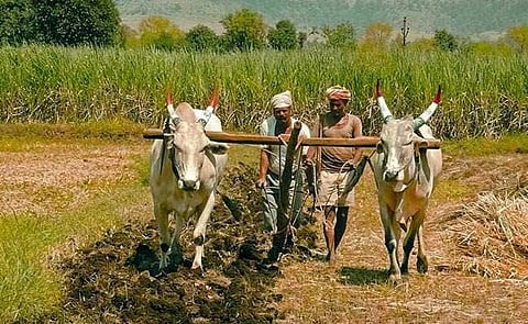 farmers are unhappy about governments wait and watch policy