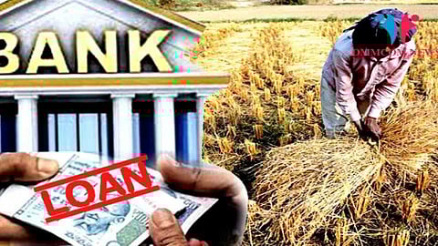 Akola Washim News Debt waiver, drought, crop insurance, replanting worries farmers