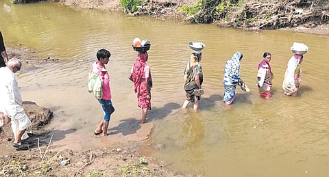 farmer in buldana district.jpg