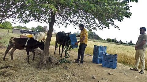 farmer was worried2.jpg