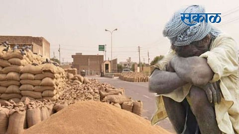 82.2 per cent farmers reject agricultural laws Amravati farmers news