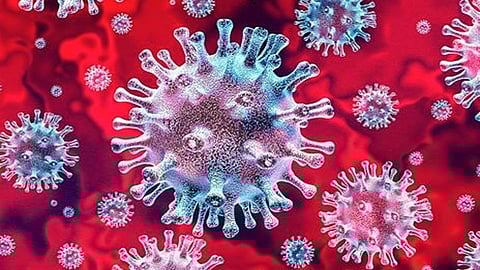 first Corona positive was found in Jambut village of Shirur taluka