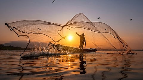 Fisheries Department investigations underway Inspection of 70 boats in the district appointment of squad
