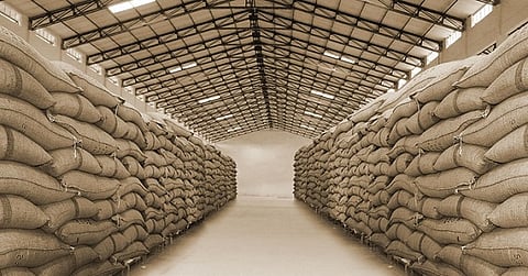 food-grain-storage.jpg