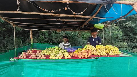 fruit stall