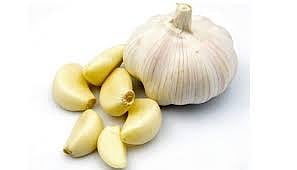 कांद्यापाठोपाठ लसूण महागला