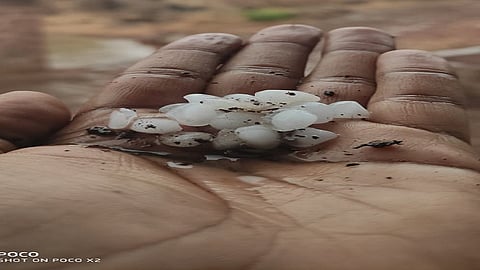 Corona already and now the rain has learned kokan marathi news