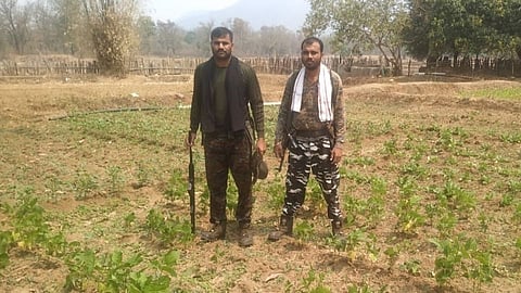 Planting of vegetables in remote areas in collaboration with the police Happiness among farmers