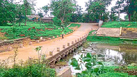 पांढरी : गावांना पुराच्या विळख्यात घेऊन जाणारा कमी उंचीचा पूल.