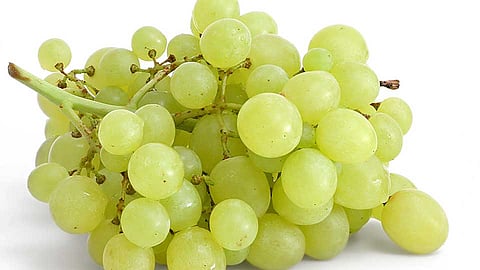 grapes