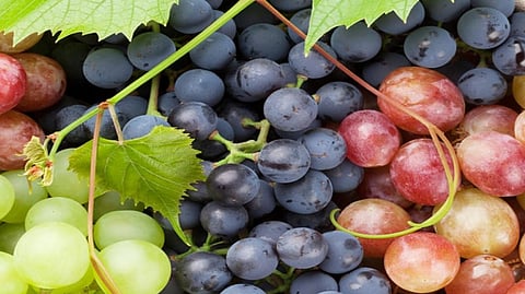 grapes