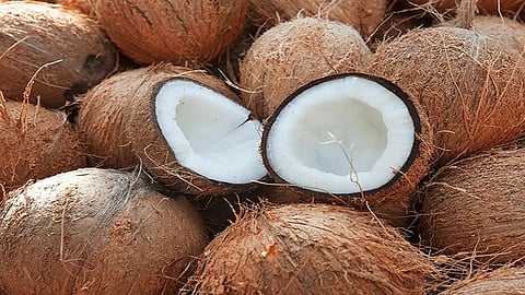 halved the demand for coconut on Navratri  due to corona