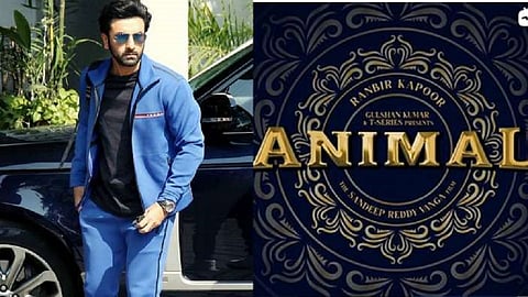 ranbir animal film