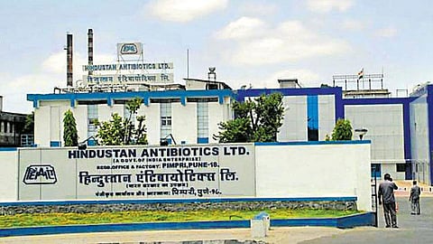 hindustan-antibiotics