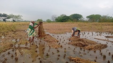igatpuri nuksan 1.jpg