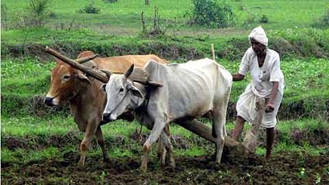 कर्जमुक्तीचे पैसे तीन दिवसांत