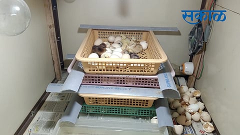 youth made hatcher machine for chicken in ner of yavatmal