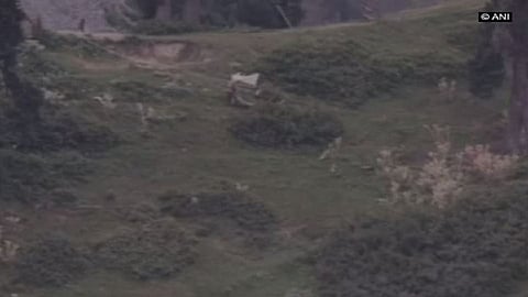 Video : सैनिकांचे मृतदेह गोळा करण्यासाठी पाकने फडकवले पांढरे निशाण; पाहा व्हिडिओ