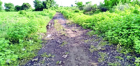 कळमेश्वरः सावळी खुर्द- वाढोना बुर्जच्या जोडावर वरोडा मार्गे जाणारा ६ ते ७ किलोमीटरचा शिवपांदण मार्ग गेल्या काही वर्षापासून दुर्लक्षित झाला आहे.