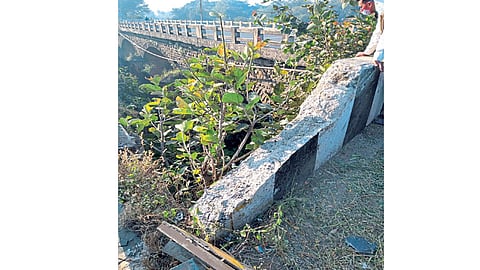 निकृष्ट कठड्यांमुळेच पाच जणांचा मृत्यू; राष्ट्रीय महामार्गावरील दर्जाहीन कामावर पुन्हा प्रश्नचिन्ह!