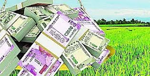 Allocation of thousands of crores for crop loans in Nagar distric