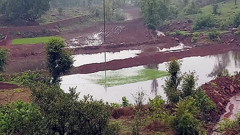 onset of continuous rain in Khed then farmer happy