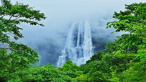 कोयना धरणाचा पाणीसाठा तब्बल आठ टीएमसीने वाढला, 73 वर पाेचताच दरवाजे उघडणार ?