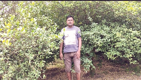 farmers earn lakh rupees from lemon farming in selu of wardha