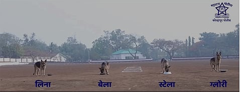 kolhapur police create video on social distance