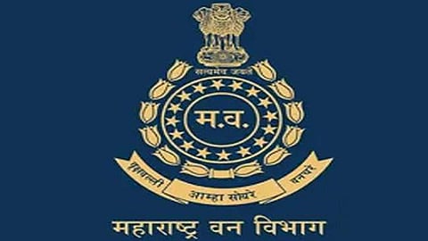 एकाच वेळी वन विभागातील चार कर्मचारी निलंबित