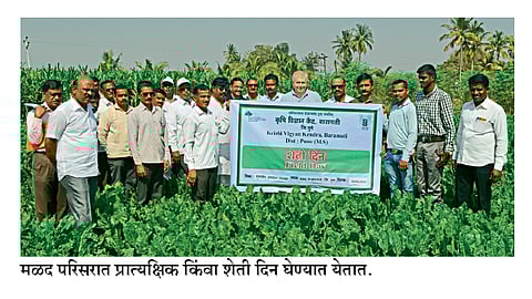 Organic farming by farmers group