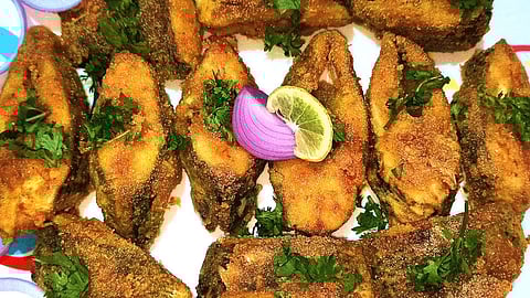 rate increase of fish