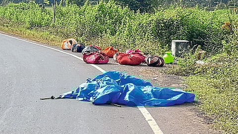 Bee attack on workers in kolhapur gadhinglaj