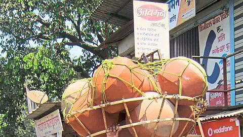 Impact of daily life on the dark skin kokan marathi news