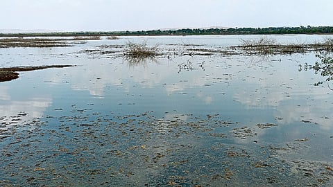 khatav