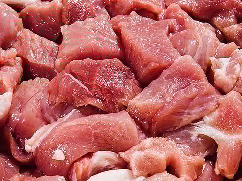 Rumors of deer being hunted in Manora