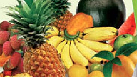 अन्न प्रक्रिया उद्योगातील सब कुछ!