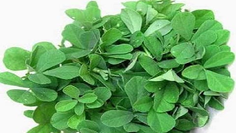 Annapaanvidhi Shakvarga