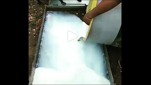 milk collected in temple for rituals is now morally served to feeding strays video viral