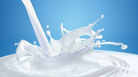 milk producers