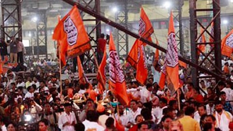 mns flags news.jpg