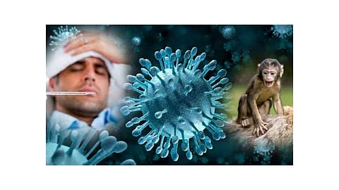 Three patients monkey fever found in Sawantwadi kokan marathi news