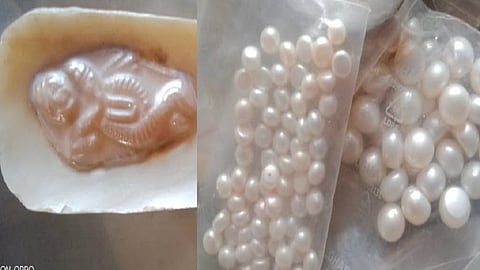 success story farmer dilip kamble Pearl farming sadoli dumala kolhapur