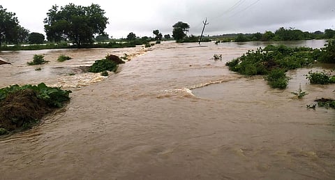 nanded