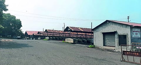 nandurbar market commity