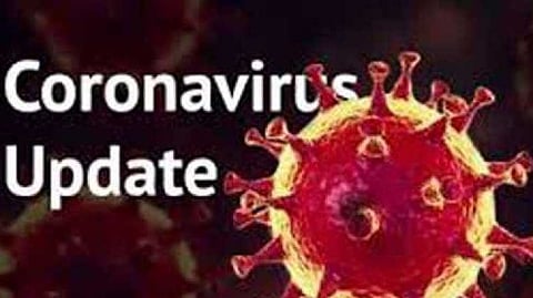 nashik district corona updates marathi news